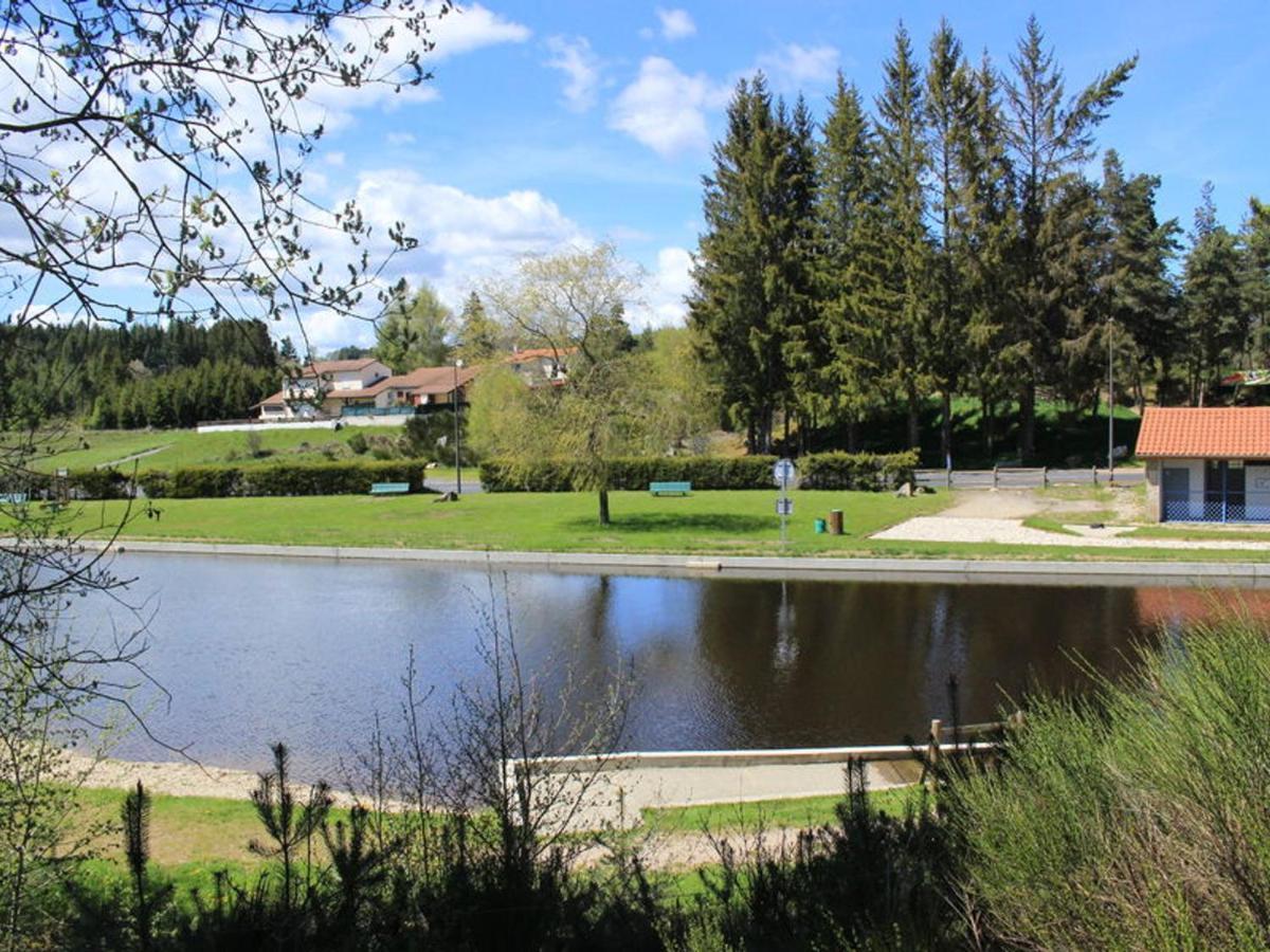 Gite Avec Cheminee, Terrasse Et Wifi - Animaux Acceptes - Fr-1-496-163 Usson-en-Forez 外观 照片