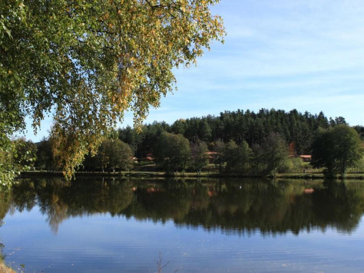 Gite Avec Cheminee, Terrasse Et Wifi - Animaux Acceptes - Fr-1-496-163 Usson-en-Forez 外观 照片